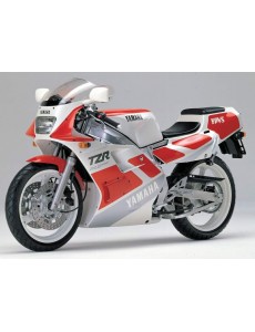 Yamaha TZR 250 3ma - 1989
